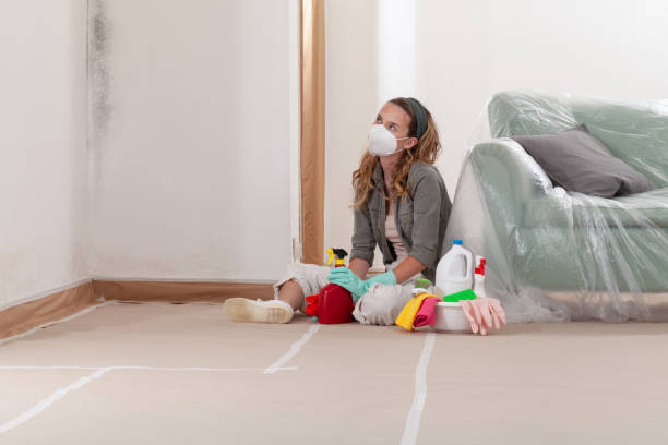 Reliable Mold Remediation contractor in Henderson, TN by WQB Mold Removal